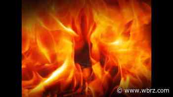 Arson suspected in Kisatchie National Forest fires - WBRZ