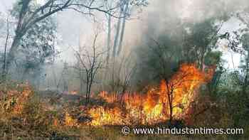 Uttarakhand witnessing unprecedented forest fires - Hindustan Times