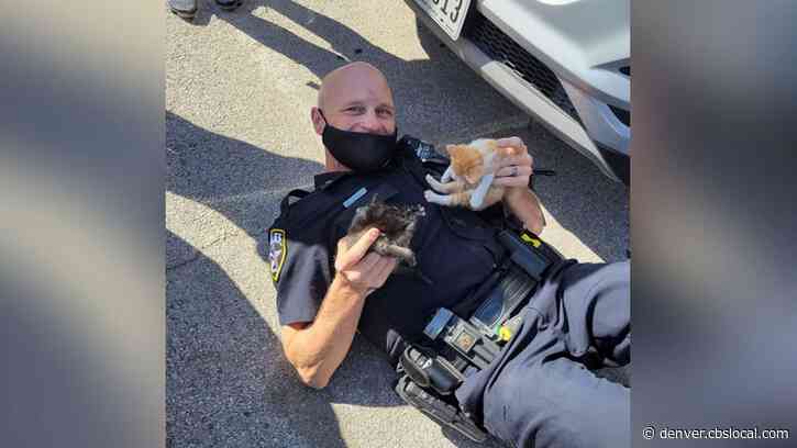 Texas Cop Rescues Kittens Trapped Under High School Cheerleader’s Car