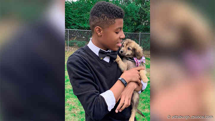 Teen Helps Adoptable Dogs Stand Out With Handmade Bow Ties