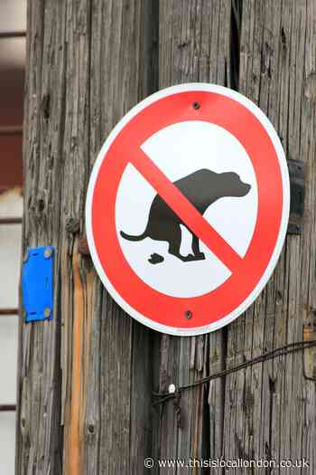 Hertsmere Council reveals dog fouling hotspots