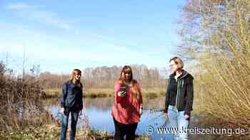 Beim Osterspaziergang Rätsel lösen in Sulingen, Neuenkirchen und Schmalförden - kreiszeitung.de