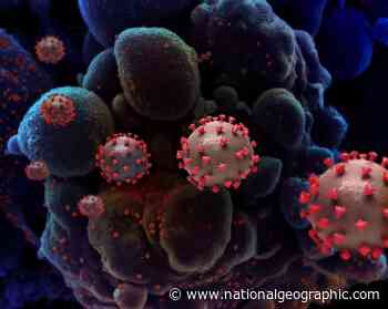 We still don’t know the origins of the coronavirus. Here are 4 scenarios. - National Geographic