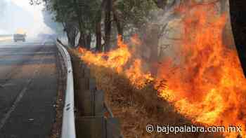 Combaten fuerte incendio en la autopista México-Cuernavaca - Bajo Palabra Noticias