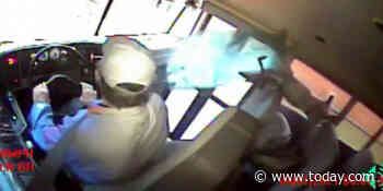 Wild video shows deer crashing through school bus, landing on sleeping student