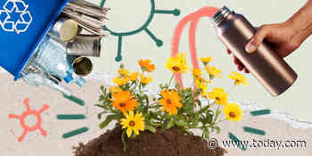 Have you adopted any eco-friendly habits since the pandemic? We'd love to hear about them