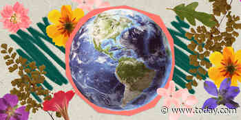 What can you do to help save the planet? Take our quiz to find your One Green Thing