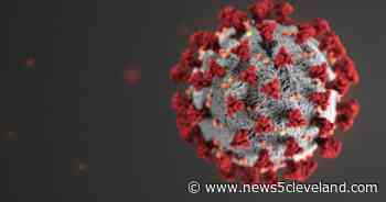 Ohio Department of Health not releasing coronavirus numbers Sunday due to Easter - News 5 Cleveland