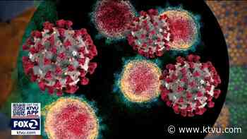 Coronavirus variant from India discovered in the Bay Area - KTVU San Francisco