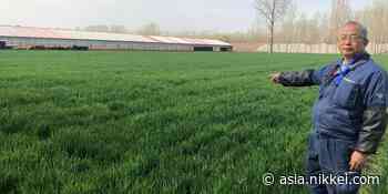Degraded farmland diminishes China's food sufficiency - Nikkei Asia