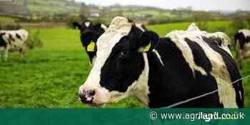 'Milly Cow Gives Milk' book aims to connect children with the food they eat - Agriland.co.uk