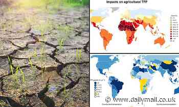 Climate change slashed global food productivity by more than 20% in the past 60 years, study reveals - Daily Mail