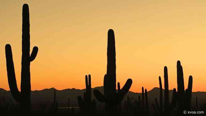 High temperatures will peak tomorrow before strong winds return