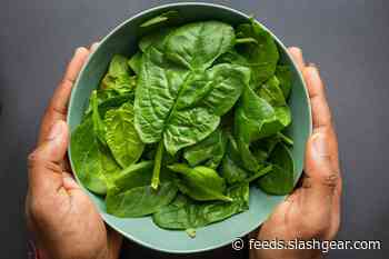 Lab-grown meat uses spinach ‘skeletons’ for greener process