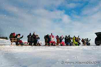 Kleuters houden stoet op slee - Het Nieuwsblad