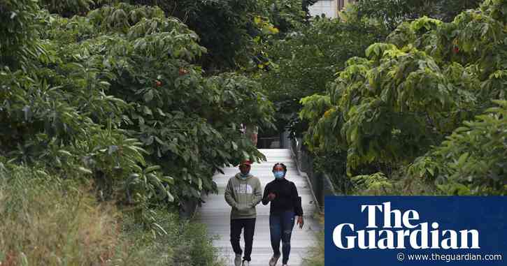 Rewilding our cities: beauty, biodiversity and the biophilic cities movement