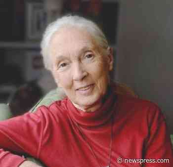 UCSB Arts & Lectures presents Jane Goodall - Santa Barbara News-Press