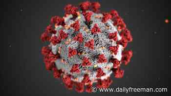 Coronavirus: Dutchess County's active cases fall for second straight day - The Daily Freeman