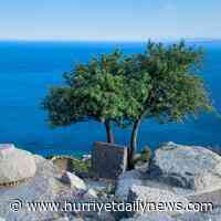 PHOTO Ancient Assos astonishes with nature and culture - Hurriyet Daily News