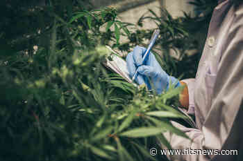 Letter: South Carolina's Medical Marijuana Bill Is Compassionate, Conservative And Effective For Patients - FITSNews