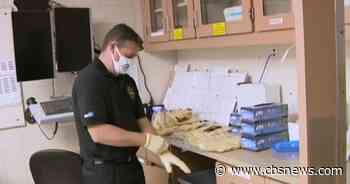 Miami medical officials try last ditch efforts to find loved ones of those who died of COVID - CBS News