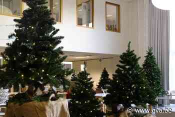 Immaculata Edegem creëert kerstbos voor inwoners (Edegem) - Gazet van Antwerpen