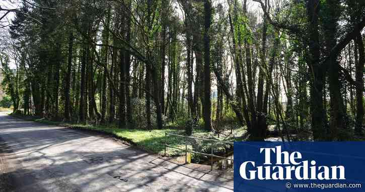 Country diary: a Welsh noir film set, with the weather to match