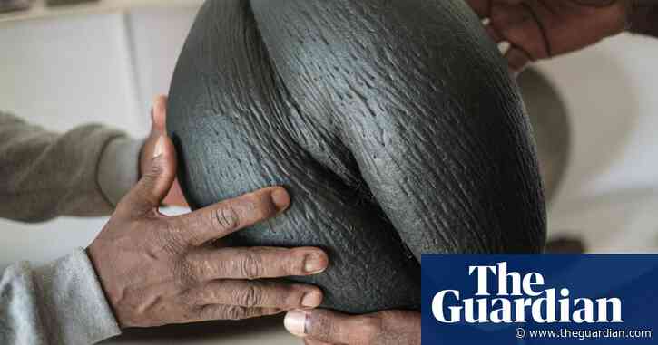 Nuts for coco de mer: islanders rally to save world’s biggest seed