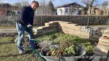 Gartensaison in Guben: Warum Jan Kuberski das Garten-Fieber gepackt hat - Lausitzer Rundschau