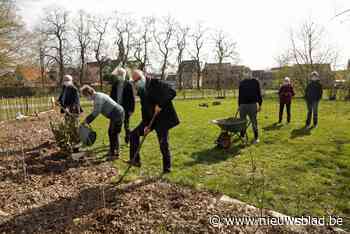 Pluktuin van start in Hagelkruispark - Het Nieuwsblad