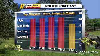 Pollen count sky high with dry, warm week ahead