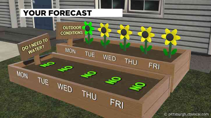 Pittsburgh Weather: Monday Rain Chances Kick Off Potentially Wet Week Ahead