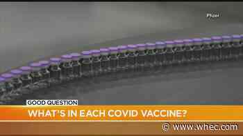 Good Question: What's in each COVID vaccine?
