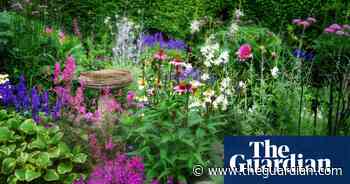 What’s the buzz? Why the cottagecore garden trend is great for bees and biodiversity