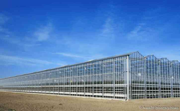 China’s Technocrats: Forget Farmers, It’s Greenhouses