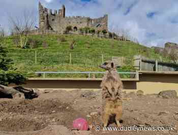 Tickets on sale as Dudley Zoo and Castle gets set to re-open on Monday April 12 - Dudley News