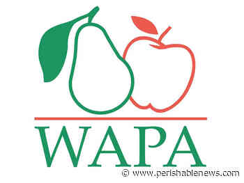 World Apple and Pear Association Elects its new Presidency Team During its Annual General Meeting - PerishableNews