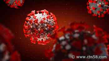 Coronavirus outbreak at Dane County childcare center linked to UK variant - WDJT