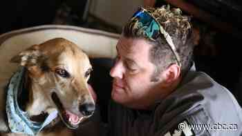 War veteran says goodbye to his 'hero' service dog, hello to donated pup