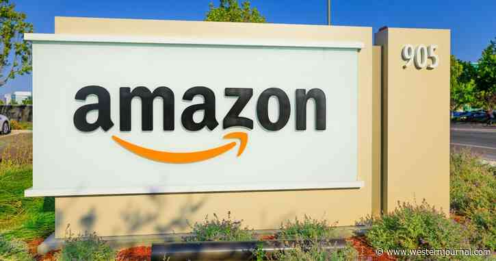 Op-Ed: Next Up Thanks to Big Tech – Cameras in All Offices, Diet Monitoring