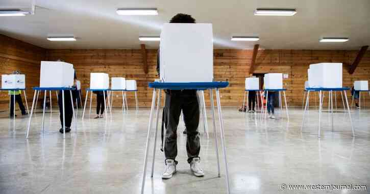Alarming Results of Montana Audit Highlight Importance of AZ’s and Other Swing States’ Election Reviews