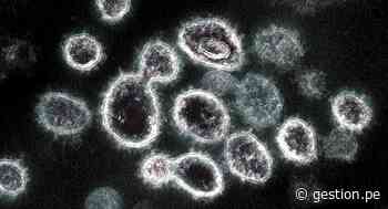 Identifican un caso de la variante “doble mutante” del coronavirus en Estados Unidos - Diario Gestión