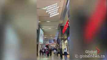 COVID-19: Ontario lockdown shopping videos go viral