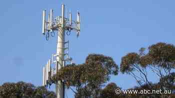 Mobile Black Spot Program expands across regional Victoria with base station rollout