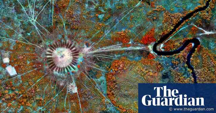 'They are living maps': how Richard Mosse captured environmental damage in the Amazon