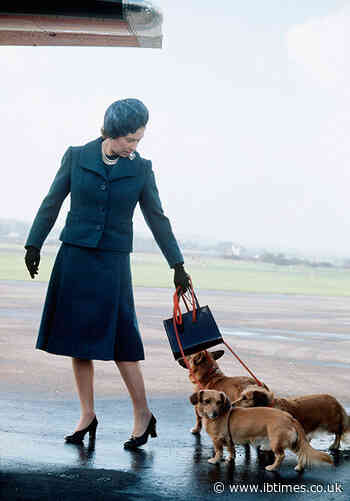 When Queen Elizabeth II wrote 'wickedly funny' letters on behalf of her corgis