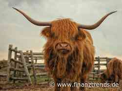 5 Aktien: Top-Analysten sind Bullish Beginn des Q2! - Finanztrends