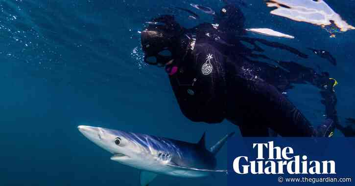 Create national parks around UK coastline, conservation group says