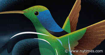 Jeff VanderMeer Wants to Show You How the World Ends