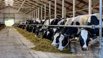 Danone-owned dairy giant unveils lifetime carbon emissions for its products